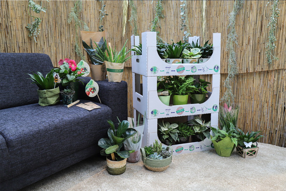 Bunnik Plants 93814
