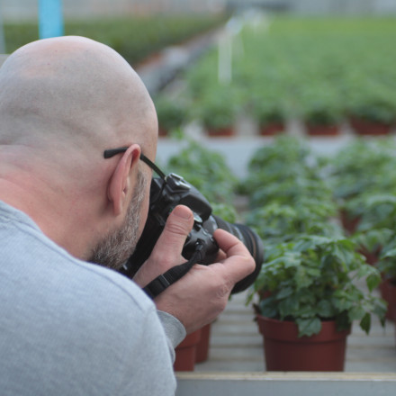 Bunnik Plants 68335